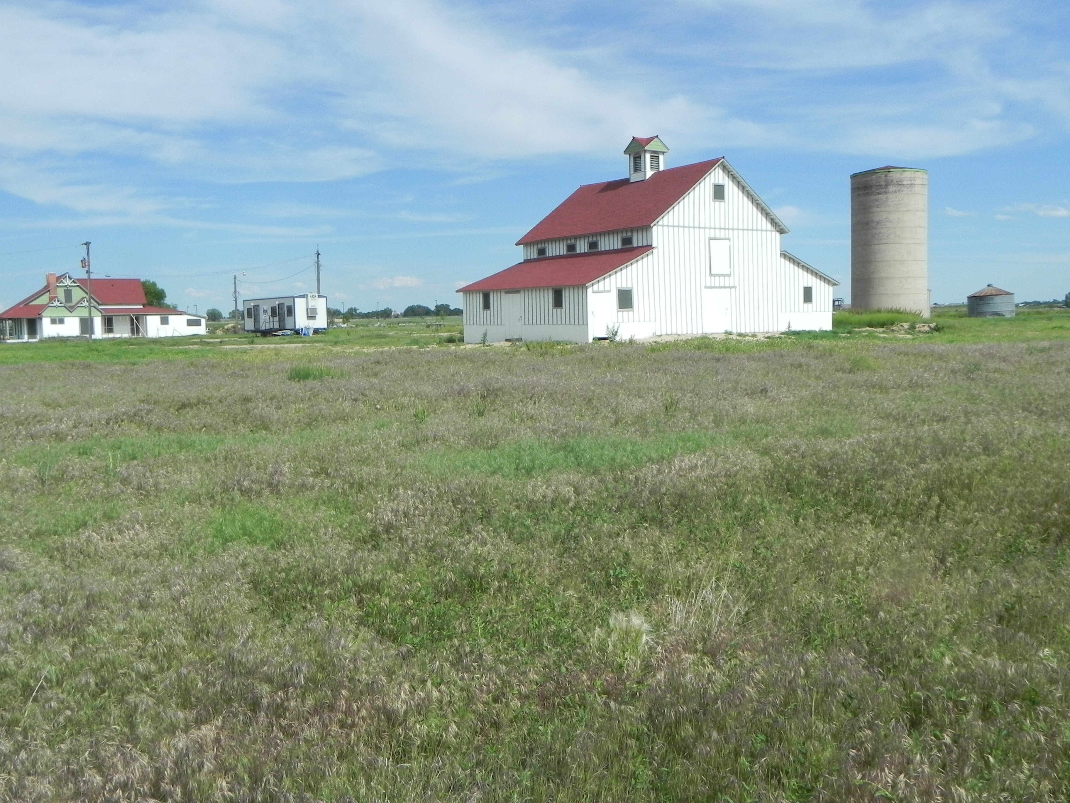 Bromley Hishinuma Farm (84)